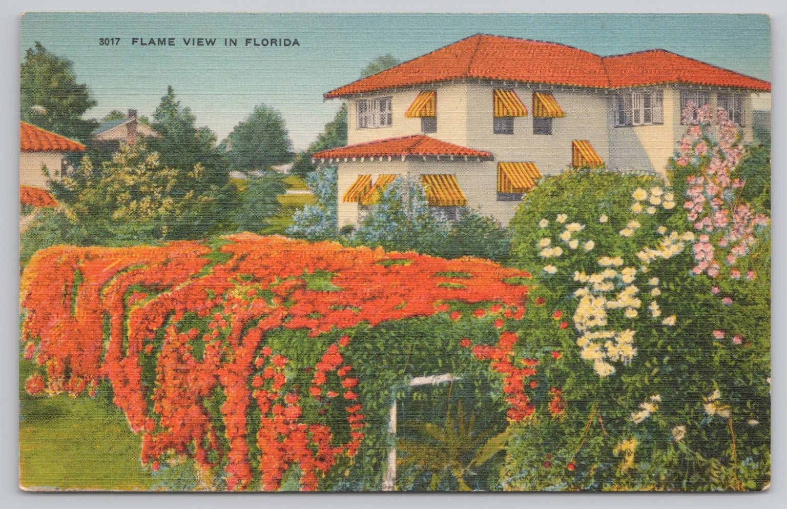 FLAME VIEW IN FLORIDA FL Linen Postcard – Eastern Photo Litho