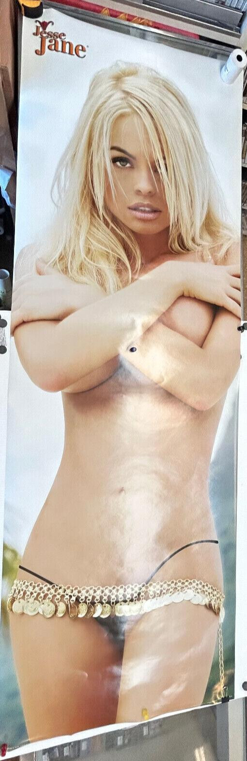 ROLLED 2006 JESSE JANE MODEL CHEESECAKE NOVELTY 21X62 DOOR POSTER AQUARIUS P25