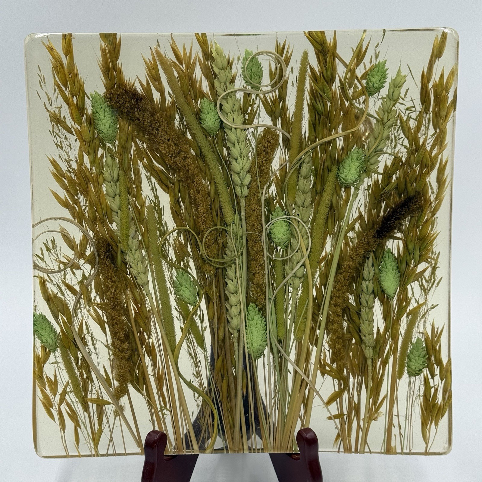 Riccardo Marzi Italy Square Dish Dried Grass Wheat Acrylic Curved Platter Tray
