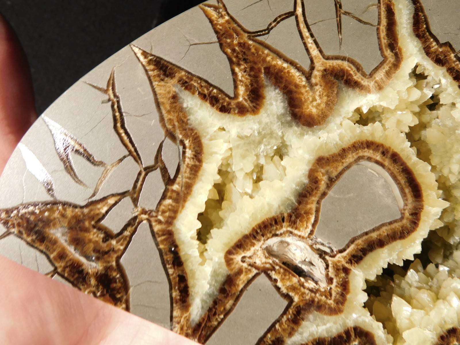 Larger! Polished AAA Crystal Filled Septarian GEODE FREE Standing Utah 852gr