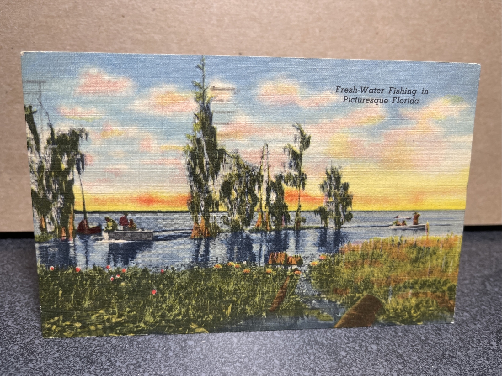 Freshwater Fishing In Picturesque Florida Postcard￼