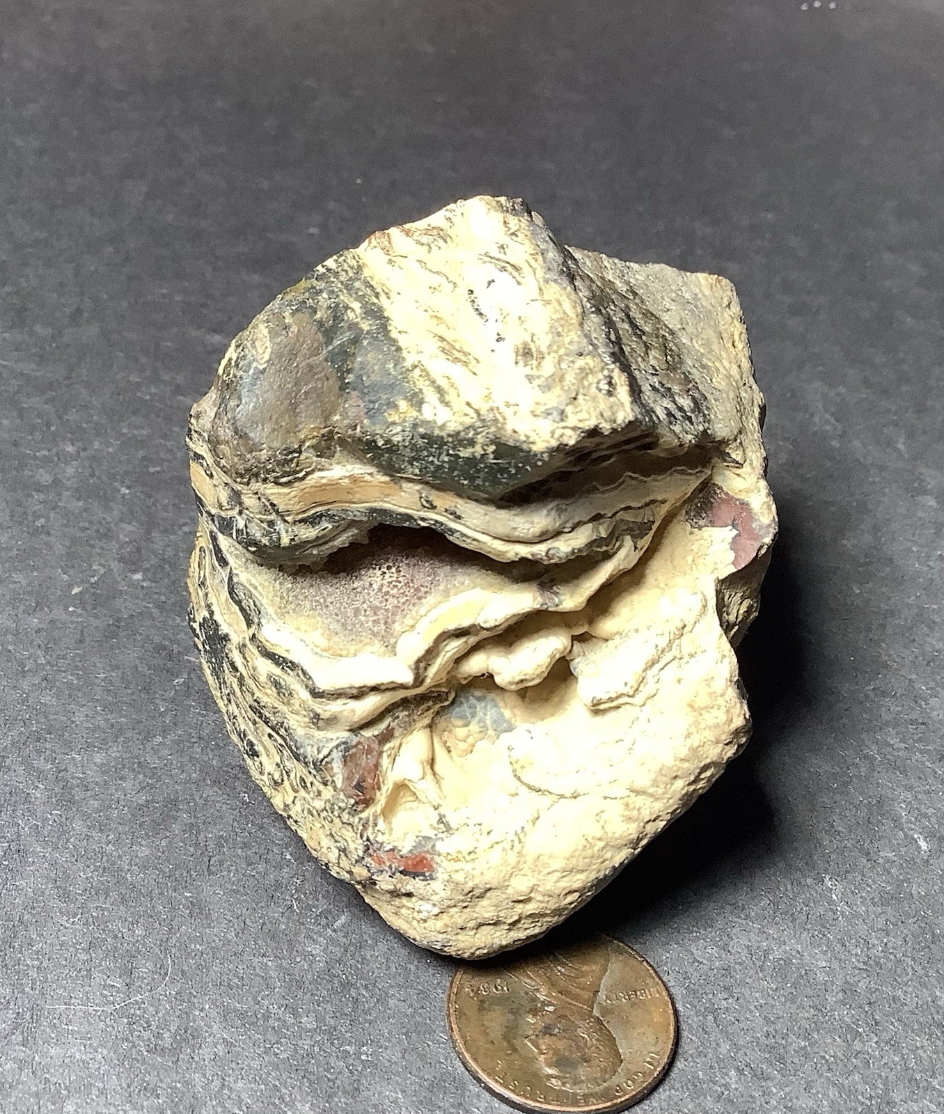 Sumatra Agate Specimen Face Polish, Collector 50x55x35mm, 4.7oz, #623