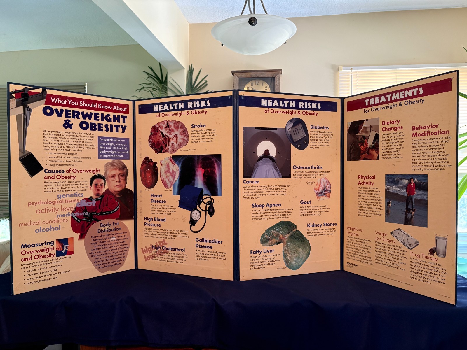 Overweight/Obesity Education Display – Health Edco Education Boards (Used; 2)