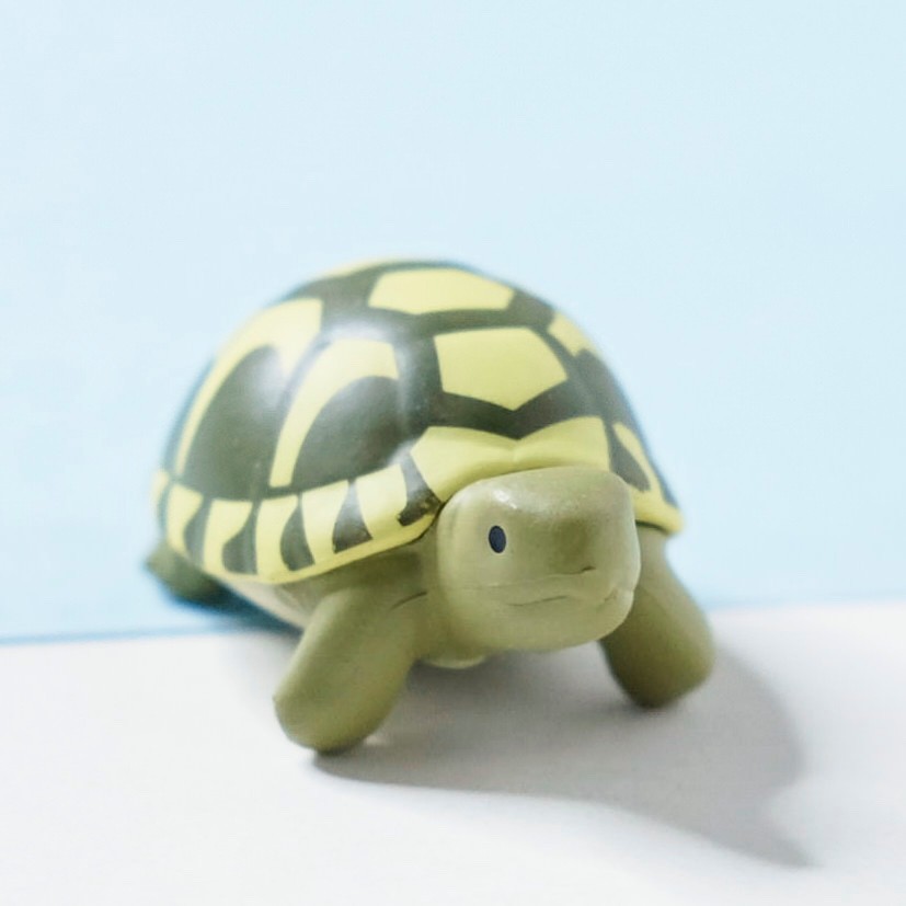 Hermann’s Tortoise Figure Turtle Reptiles Vol 3 Hugcot Cable Holder Gashapon Toy