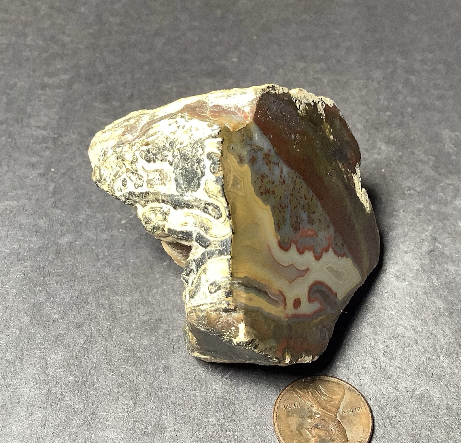 Sumatra Agate Specimen Face Polish, Collector 50x55x35mm, 4.7oz, #623