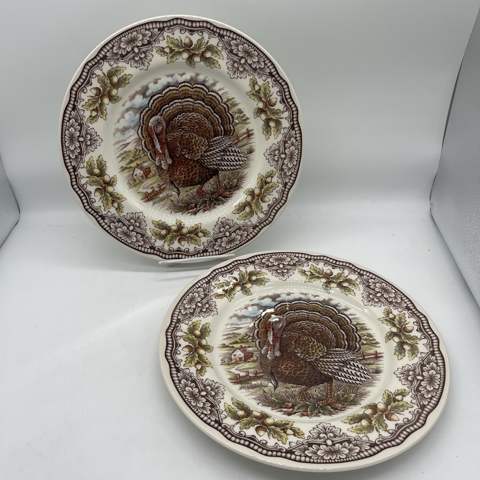 Victorian English Pottery Edward Challinor England Turkey Dinner Plates Thanksgi