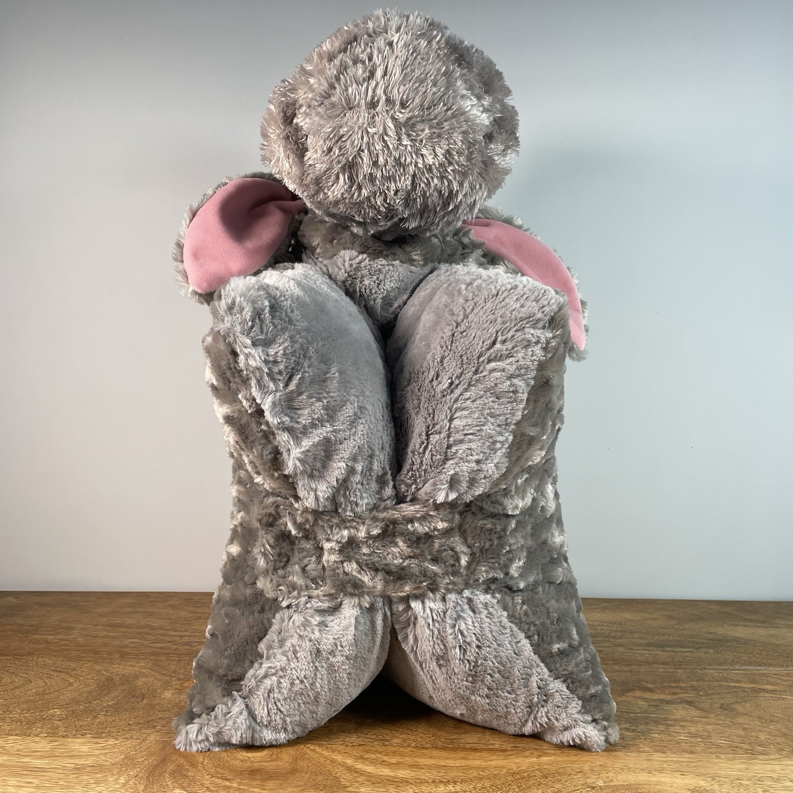 Disney Theme Parks Dream Friends Eeyore Winnie Pooh Pillow Pet Plush Stuffed Toy