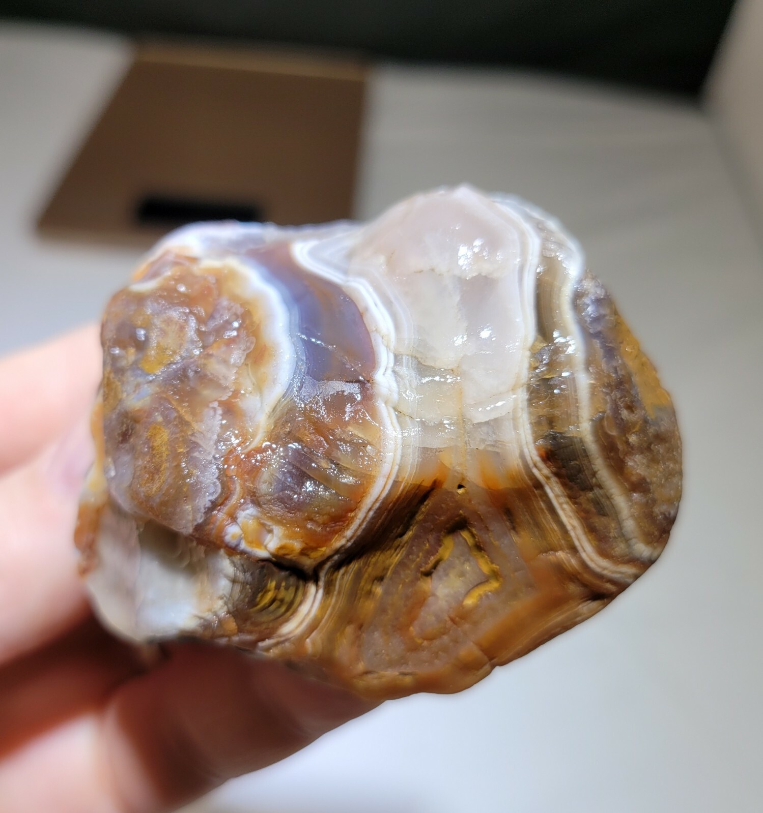 Super nice Peeler! Lake Superior Agate 4.4 oz