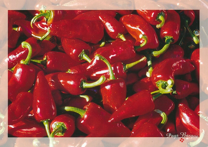 old postcard Espelette Paprika unused postcard B394f