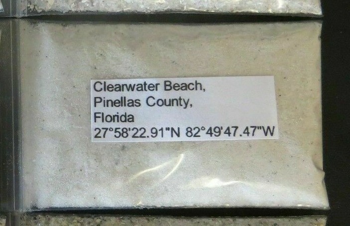 Florida Clearwater Beach Sand Sample