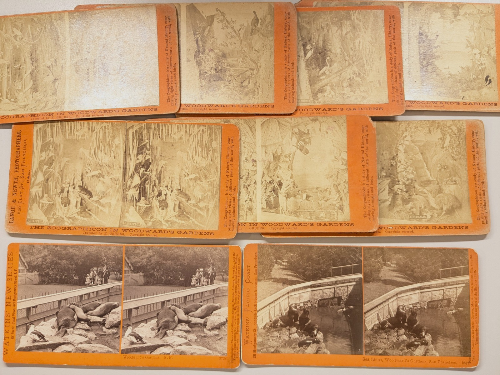 Woodward Gardens San Francisco California Stereoview Photos Watkins Lange Newth