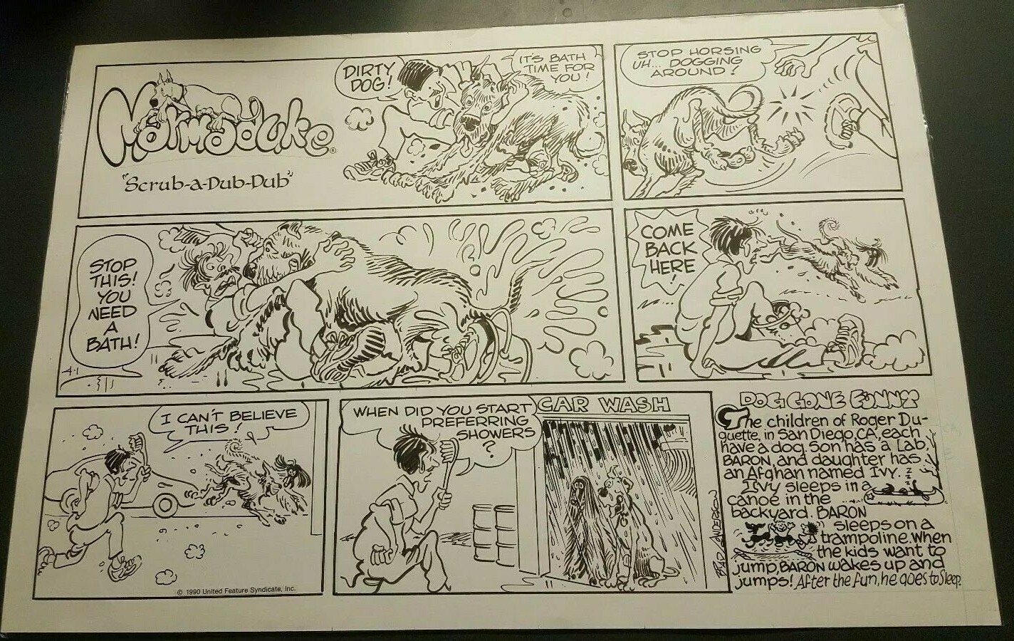 Marmaduke Original Comic Strip Art Signed Brad Anderson! Oversized!