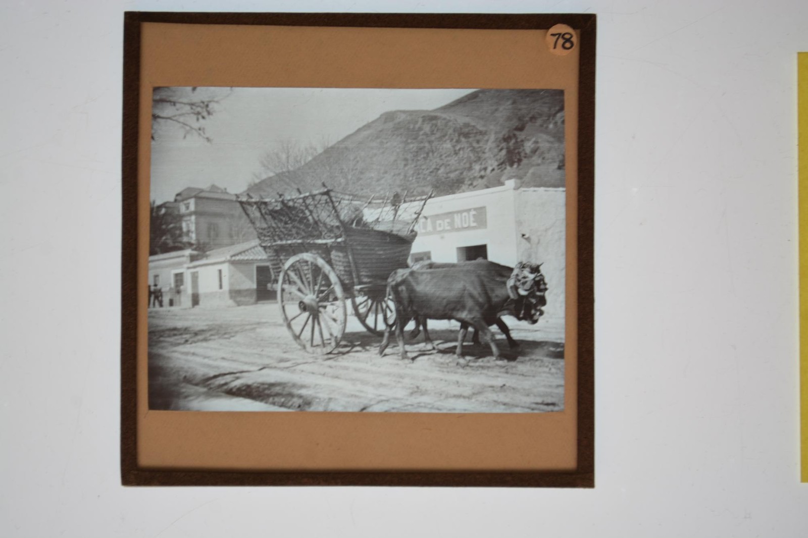 Oxen Cart Street Scene CA DE Noe Sign Mountain Lantern Slide c1900s