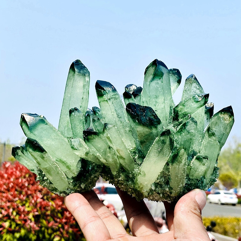 3.41LB Rare Mexican green crystal cluster quartz crystal mineral specimen