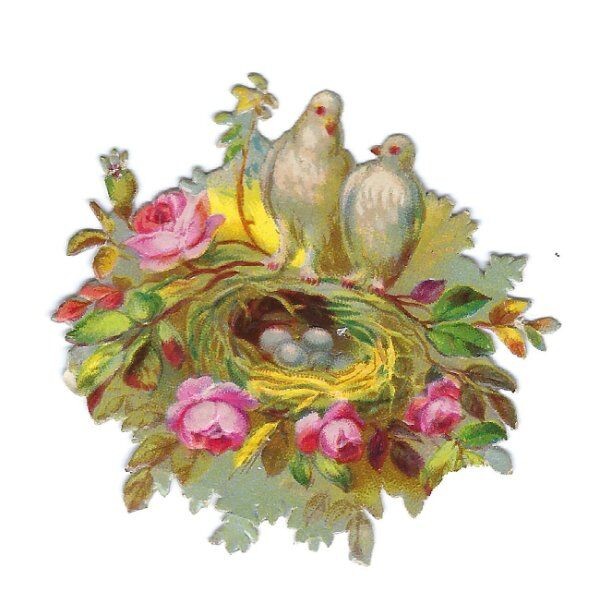 1888 Chromo, Victorian PINK FLORA BIRDNEST EGGS, WHITE BIRDS, Die-Cut Scrap 1-3/
