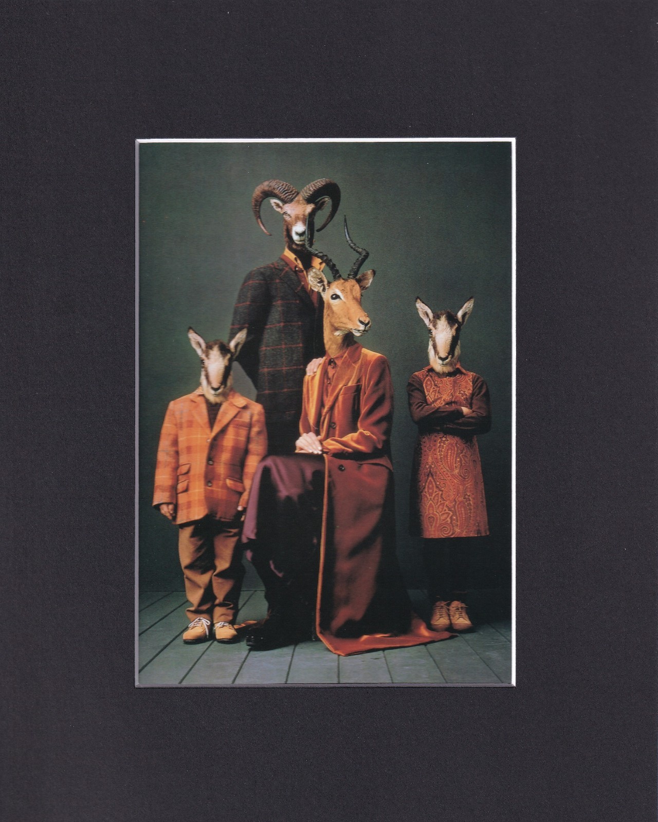 8X10 Matted Print Picture Fashion Textiles: Gimmo Etro: 1997