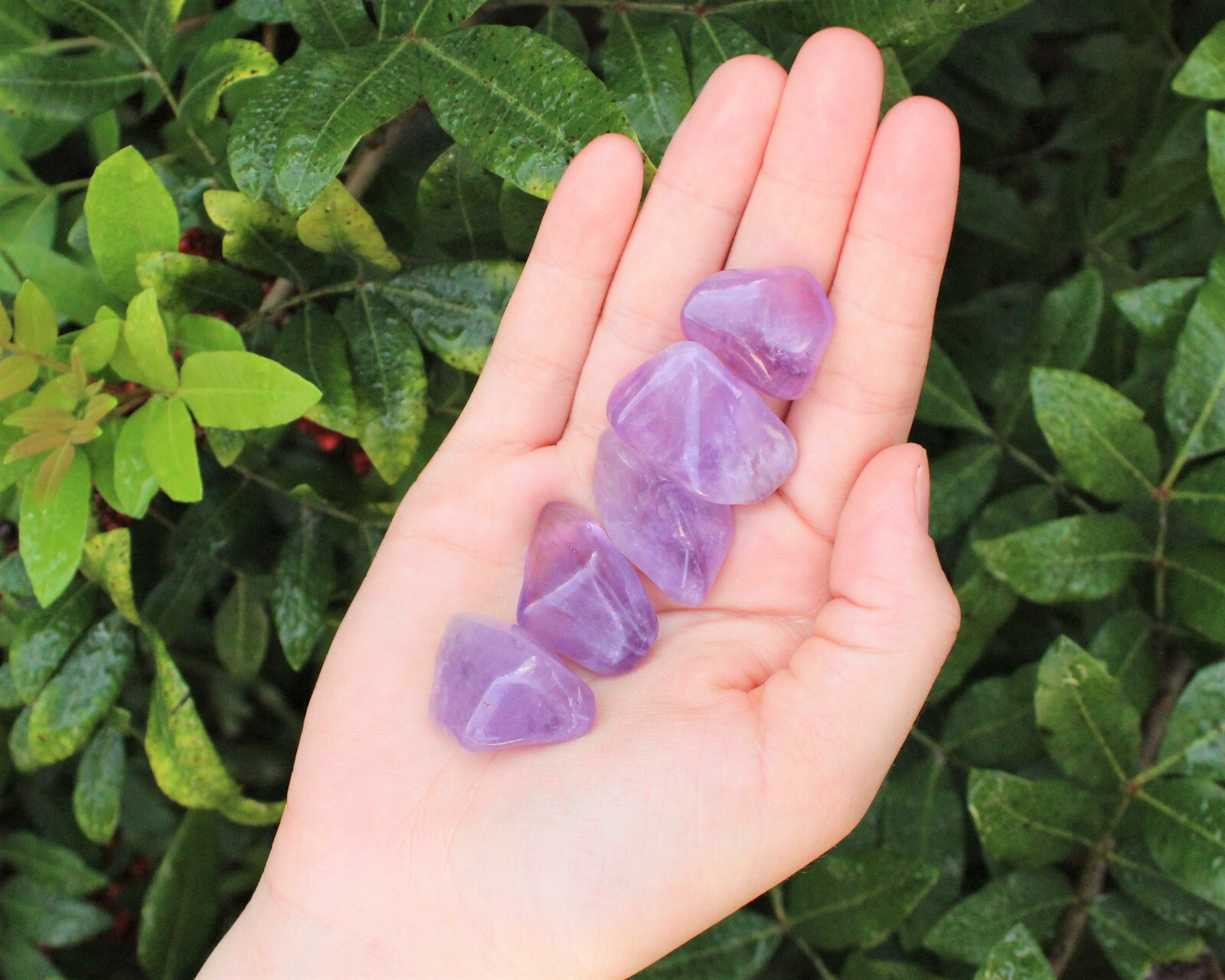 Tumbled Amethyst 1/2 lb Lot Crystal Healing Reiki Chakra Tumble Gemstone 8 oz