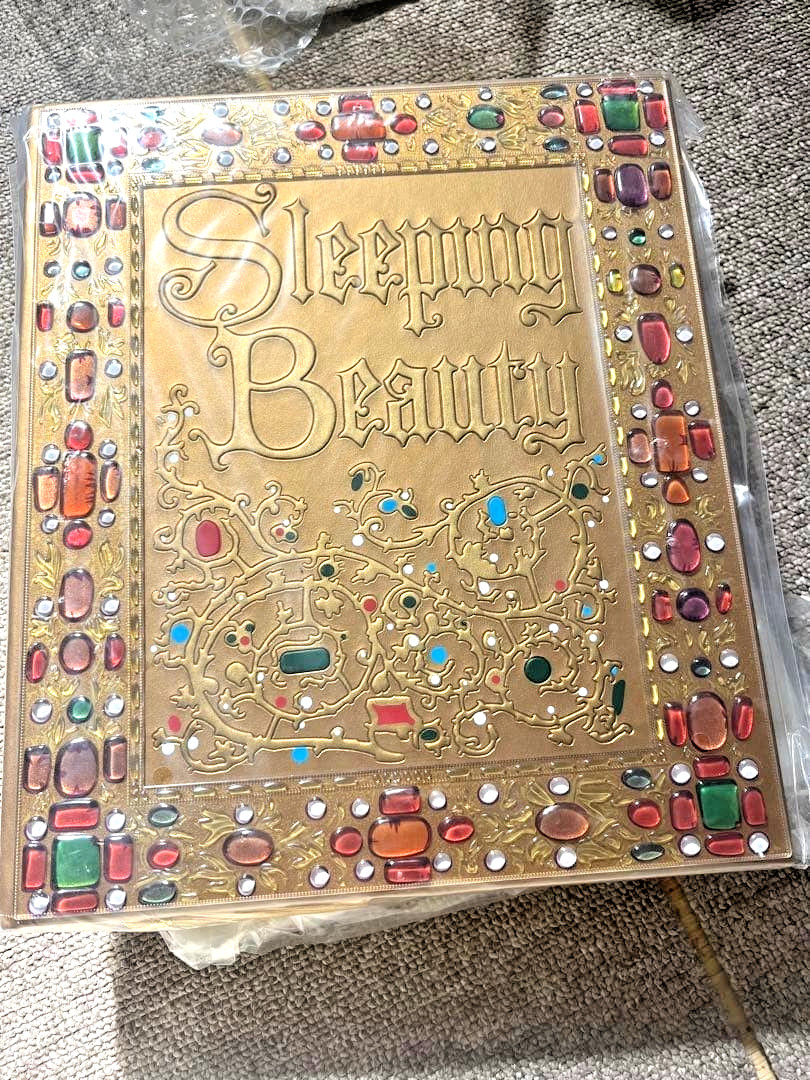 Disney Sleeping Beauty Aurora Storybook Replica Journal Notebook New