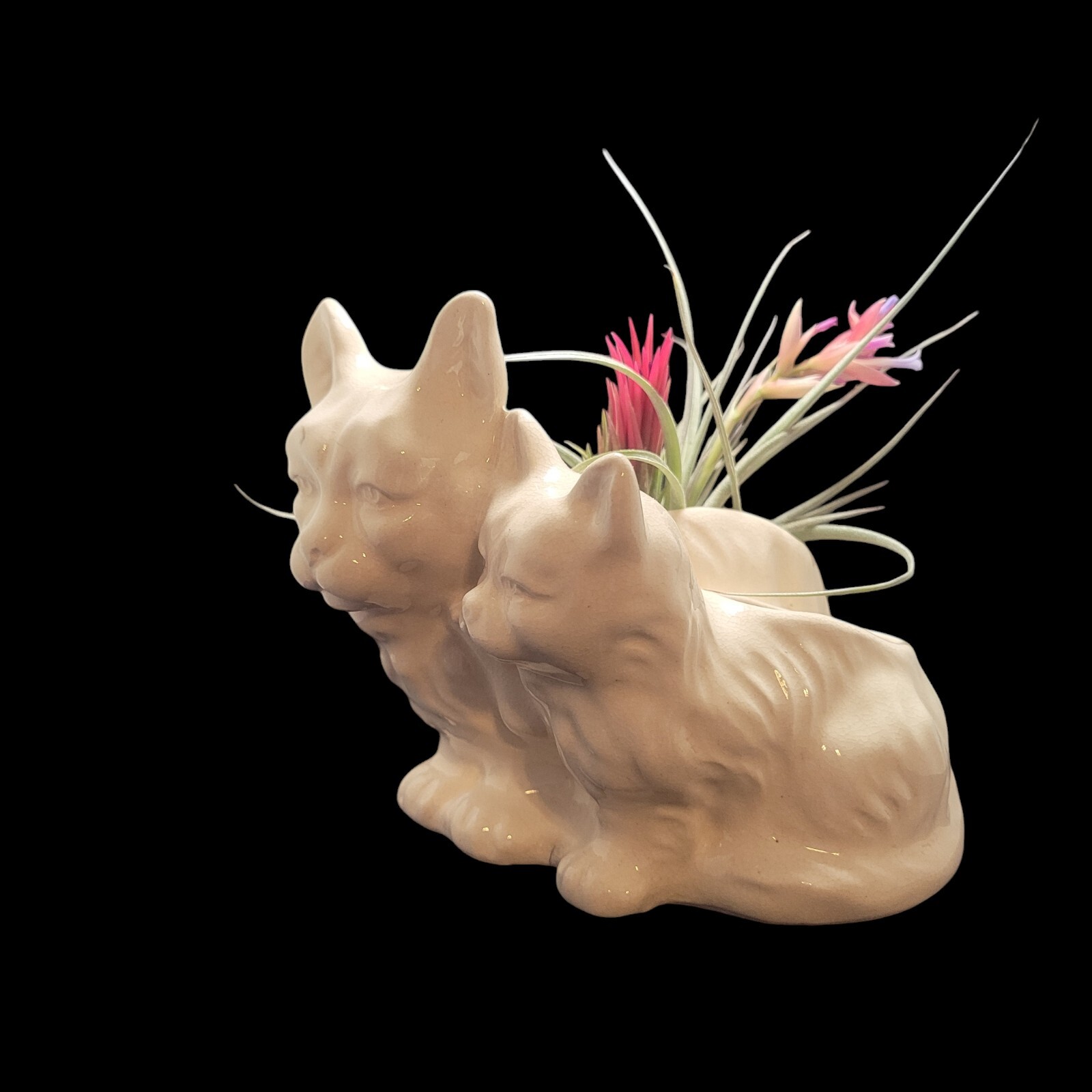 Vintage Japan Cat Kitten White Succulent Planter Plants Not Included READ