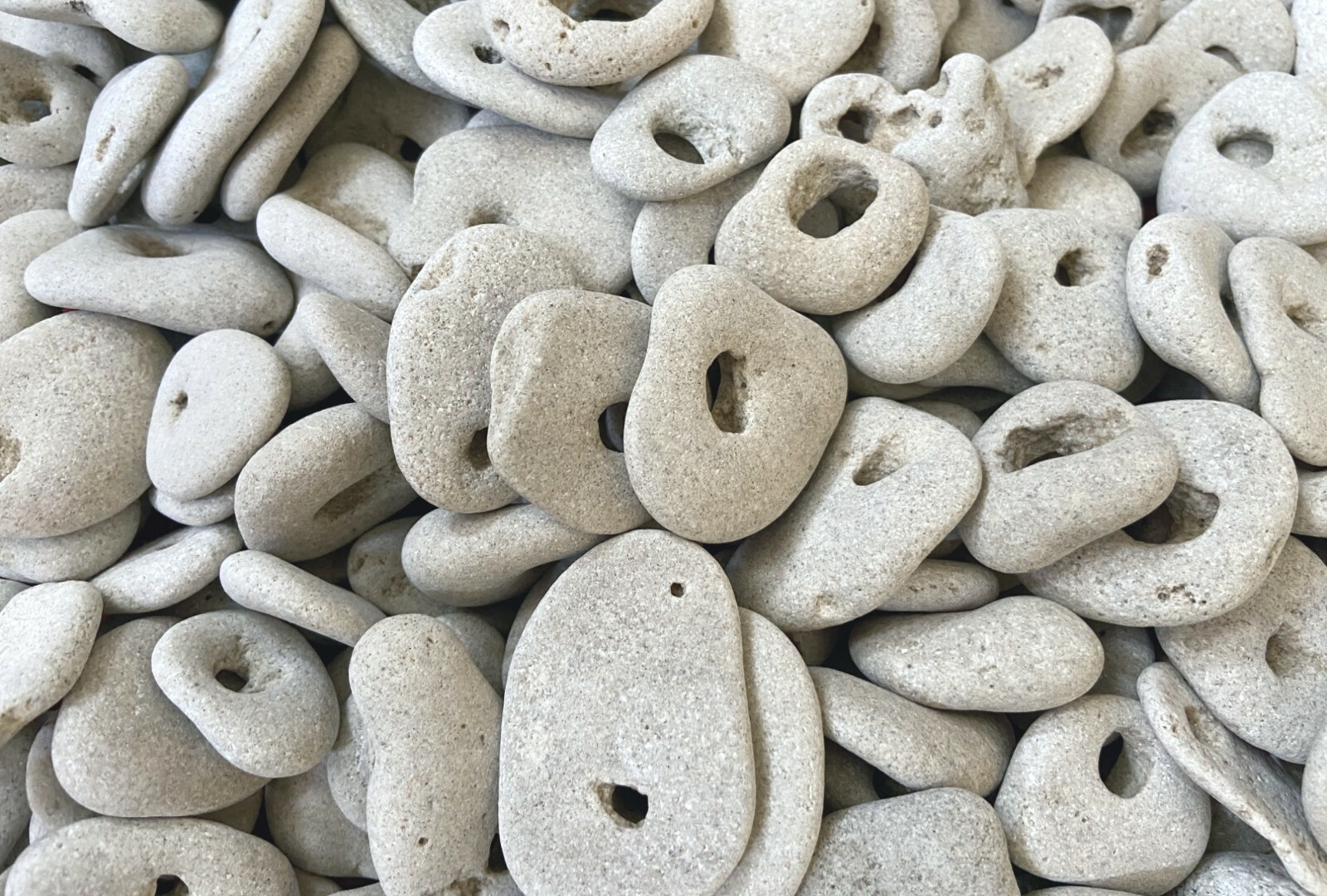 20 Natural Hag Stone Bulk Lot 1-1.25 in. Holed Raw Witch Wiccan Holey rocks, B1