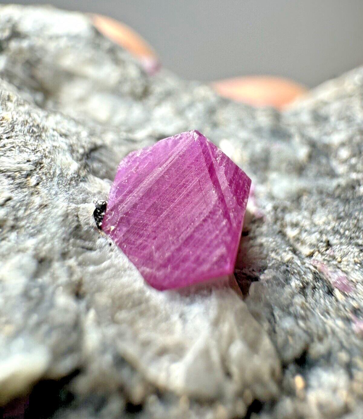 Ruby Rough on Matrix – Russia Mineral Specimen