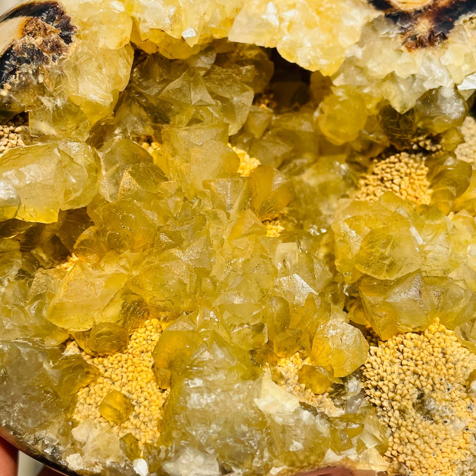 2.25lb Natural Dragon Septarian Septarium Crystal Heart Geodes Specimen Reiki