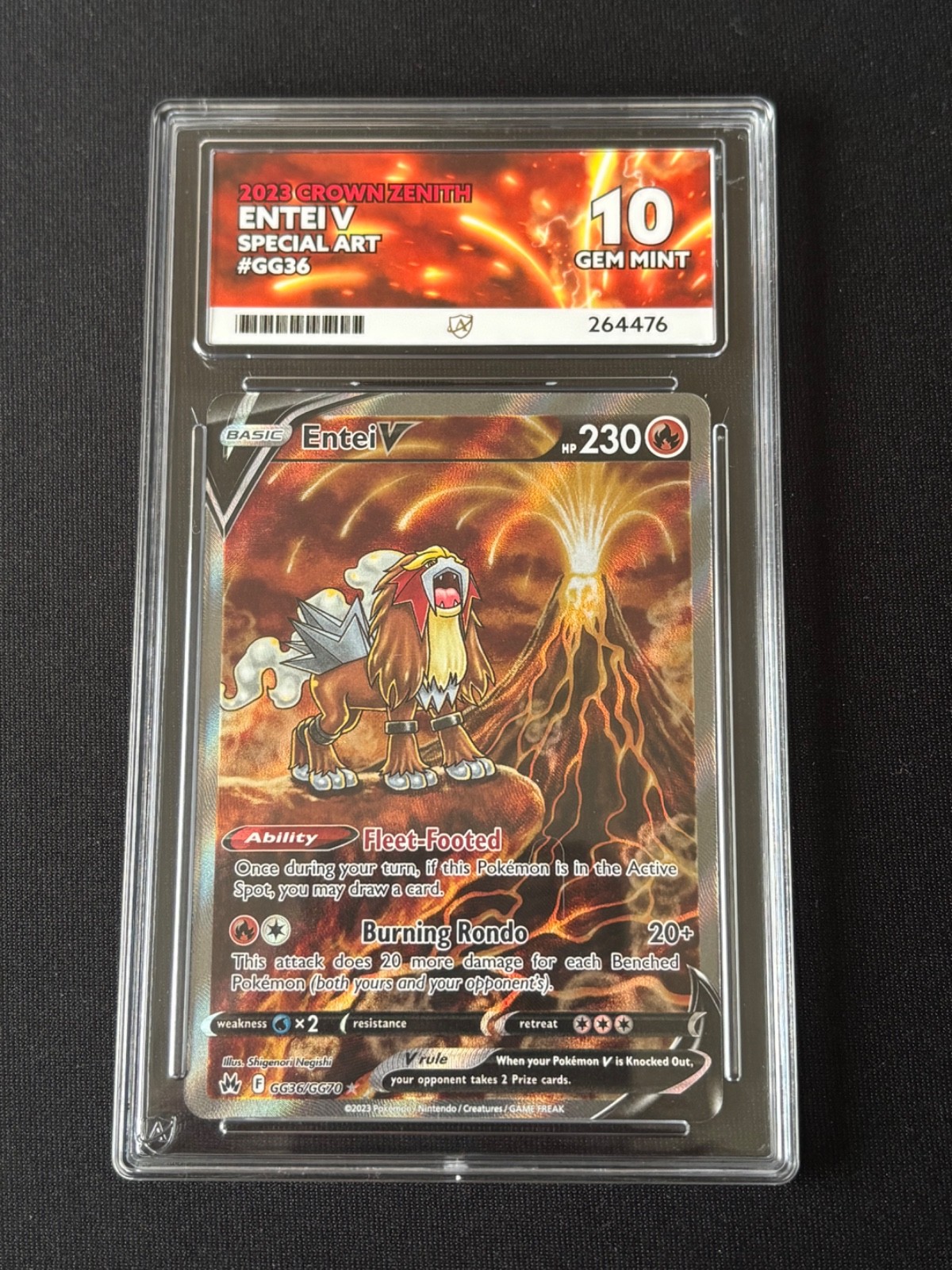 Entei V Galarian Gallery GG36/GG70 Pokemon Crown Zenith Ace 10
