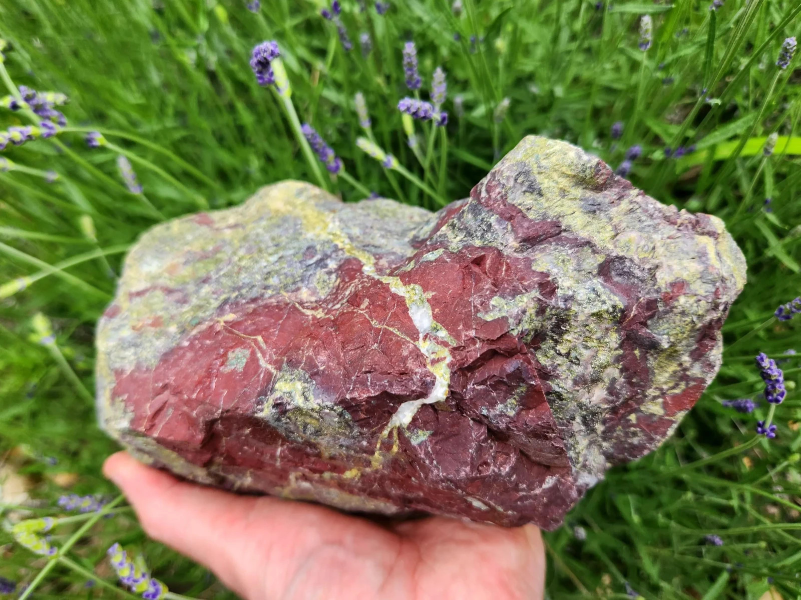 XL Dragon Blood Jasper Stone, 8 lbs 10 oz (3739g) Ideal for Lapidary, Rough