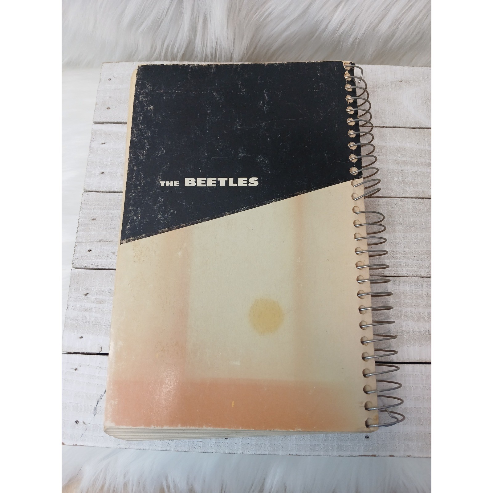 How To Know The Beetles H. E. Jaques Pictured-Key Nature Series Spiral Book 1970