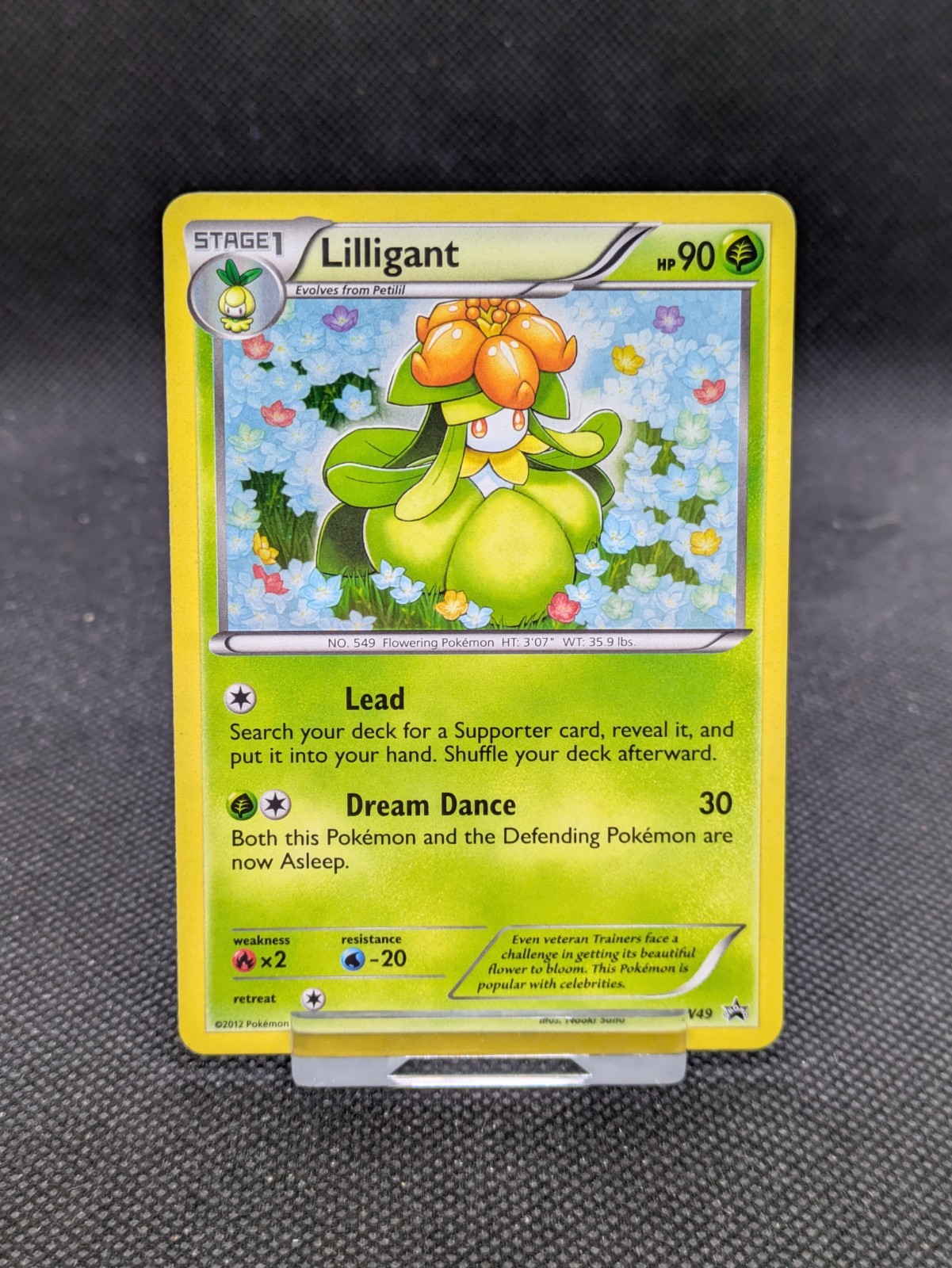 Pokémon Black and White Lilligant BW49 Black Star Promo Holo NM