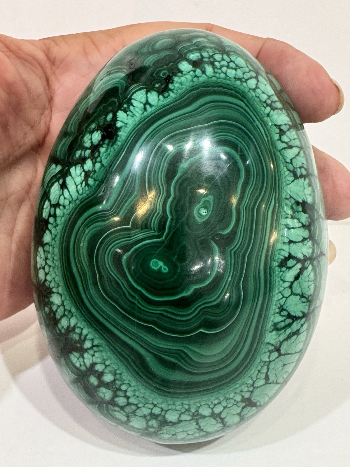 Gorgeous Large Polished Malachite Egg Vivid Banding 2 Lbs 11 Oz. 4.25” X 3”