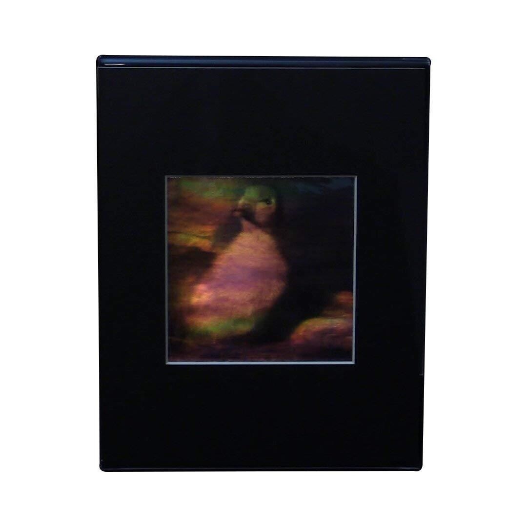 3D Duckling Hologram Picture DESK STAND, Collectible EMBOSSED Type Film