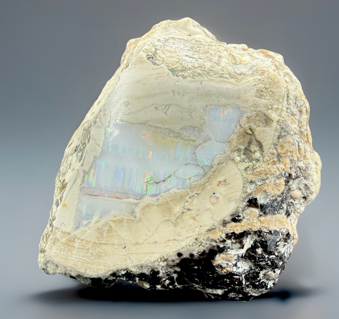 Opal : Spencer Opal Mine . Clark County , Idaho 🇺🇸