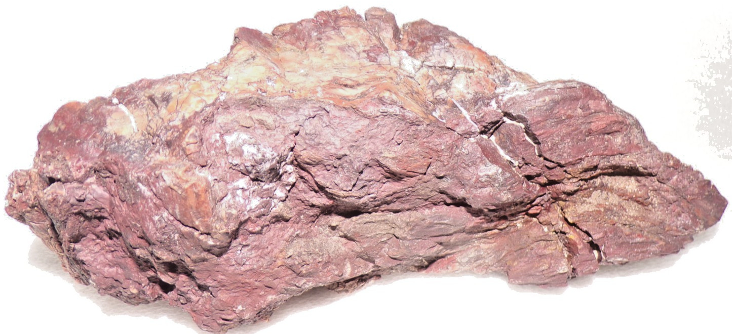 Natural 2 Lb 7 oz Northern Arizona Petrified Wood Redish Brown Round Display