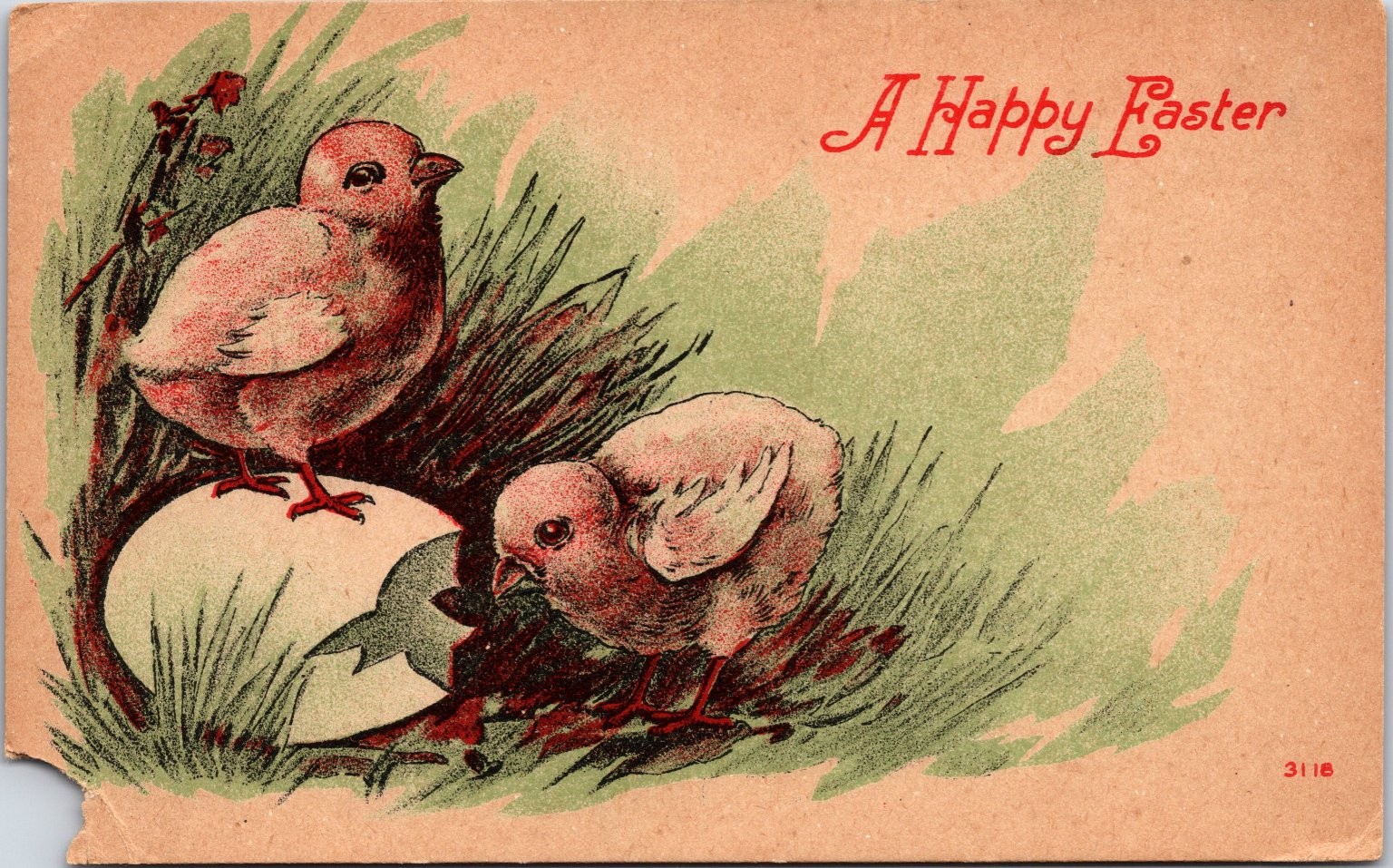 Easter Postcard Chicks Hatching Egg Divided Back Unposted Antique
