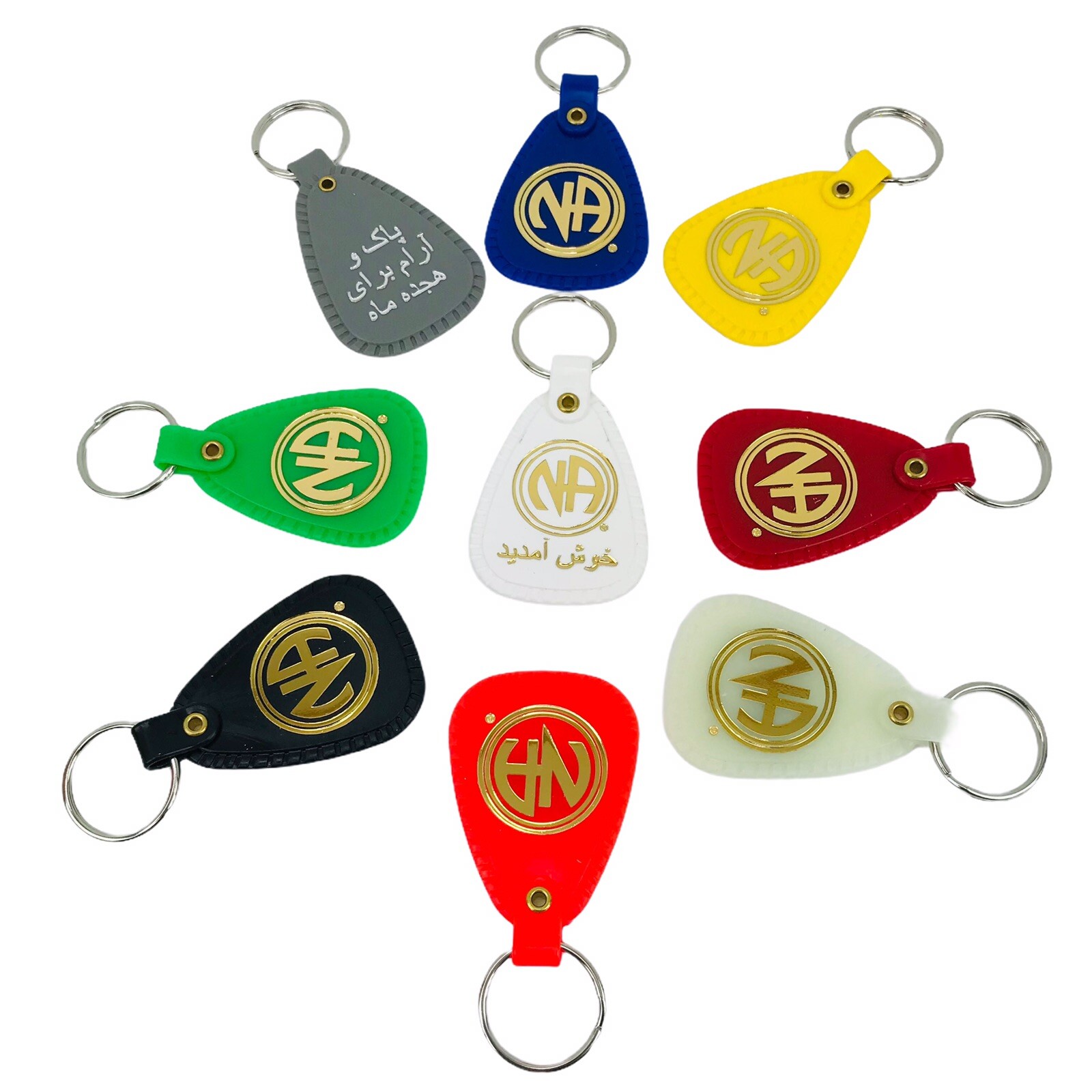 NARCOTICS ANONYMOUS NA KEY TAG Ring Recovery Just For Today 9 Piece FARSI