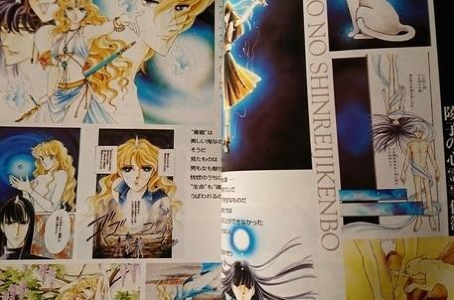 Chie Shinohara World Guide 1981 – 1999 Art JAPAN Book Red River Anatolia
