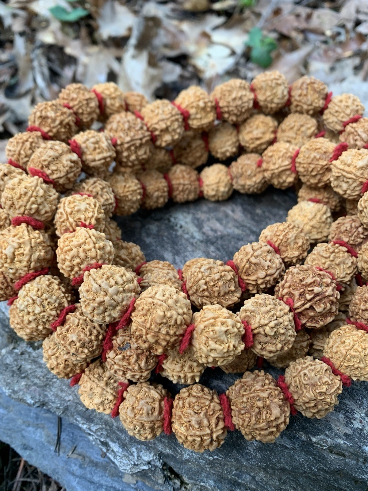 Himalaya Light Rudraksha Shiva Japa Mala 108 Seeds XL Size Handmade in Nepal