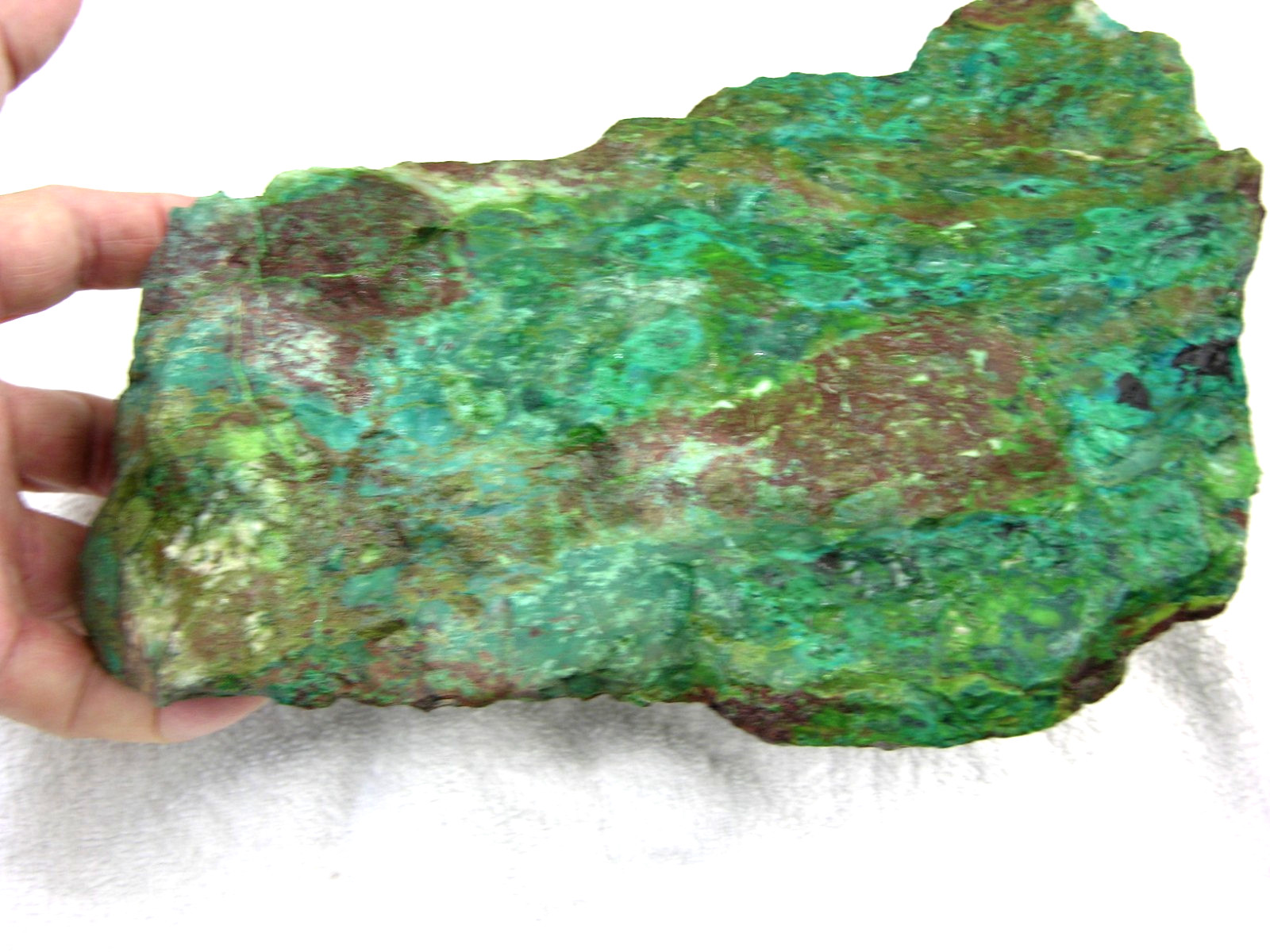 Apache chrysocolla rough blues greens Turquoise 9x6x3 inch 9.5 pounds at1