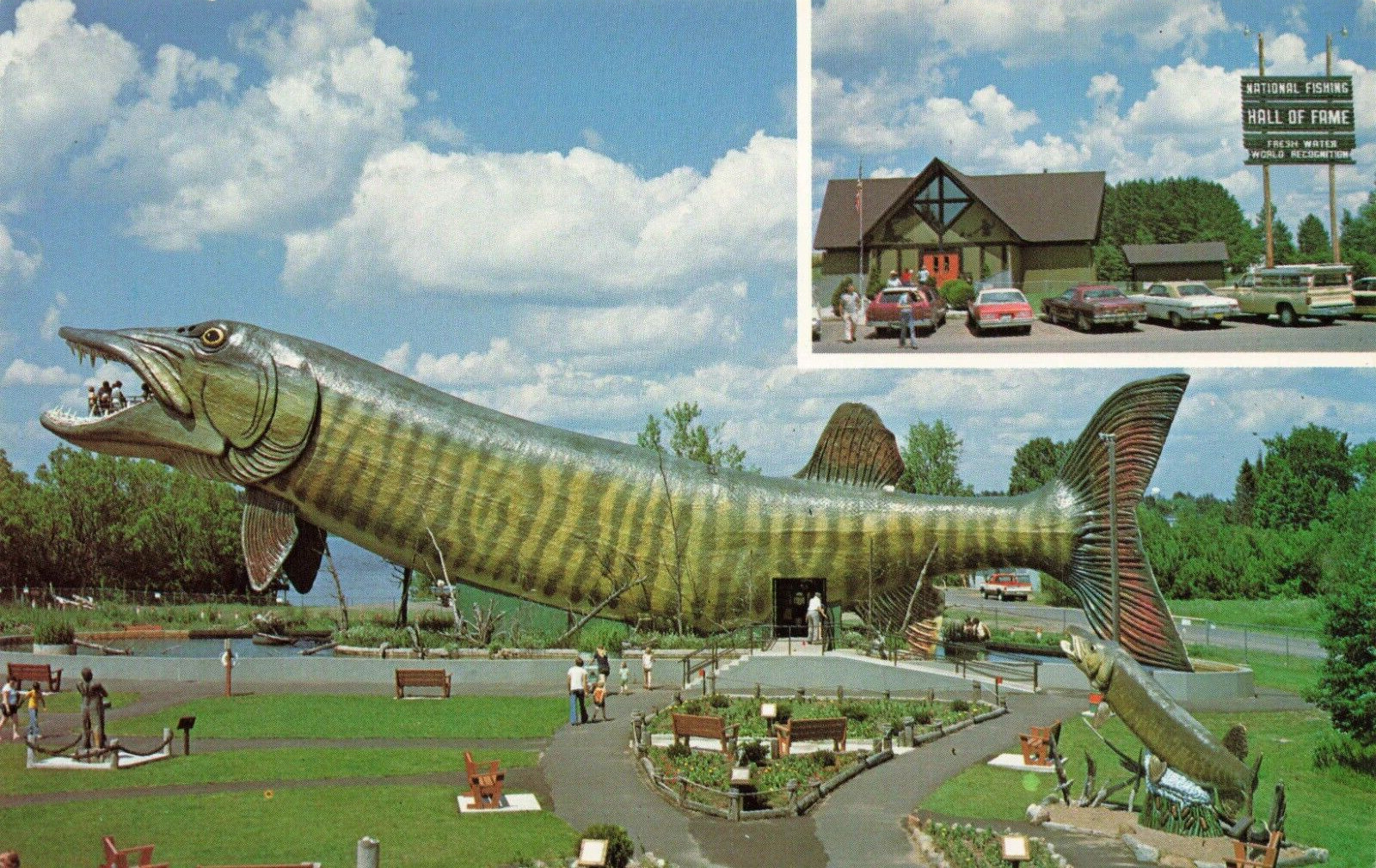 Postcard National Freshwater Fishing Hall of Fame Hayward Wisconsin 1960s