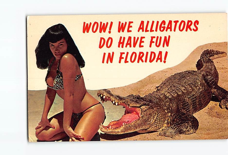 Postcard Wow! We Alligators Do Have Fun in Florida! Greetings from Florida USA