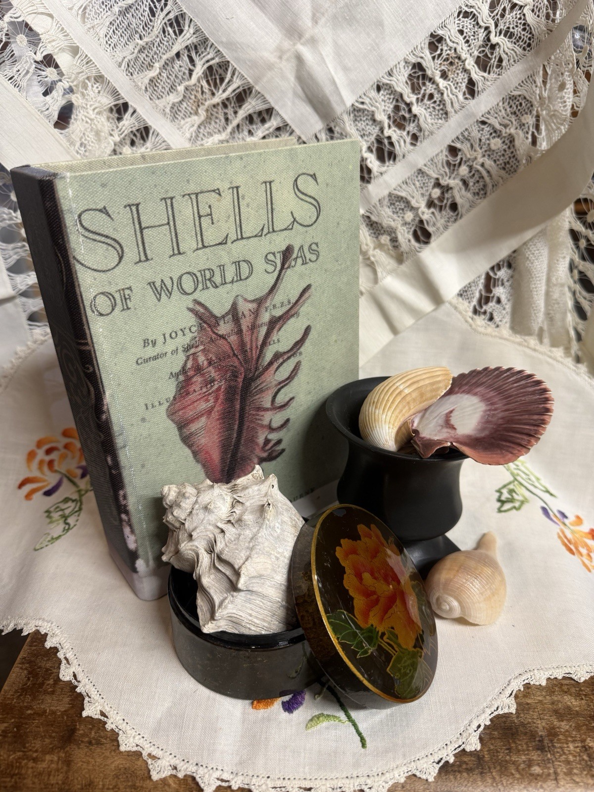 Bundle, Book Wood Storage Box, Seashells, Round Trinket, & Black Vase, Bundle, 9