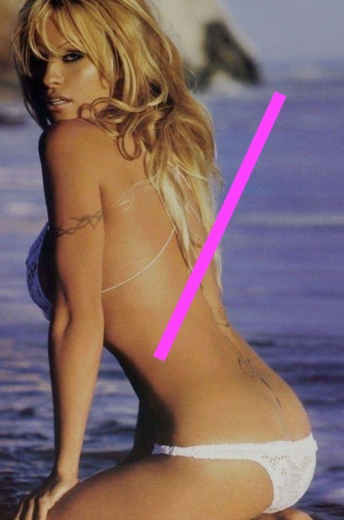 photo 10x15cm 4×6 inch PAMELA ANDERSON (509)