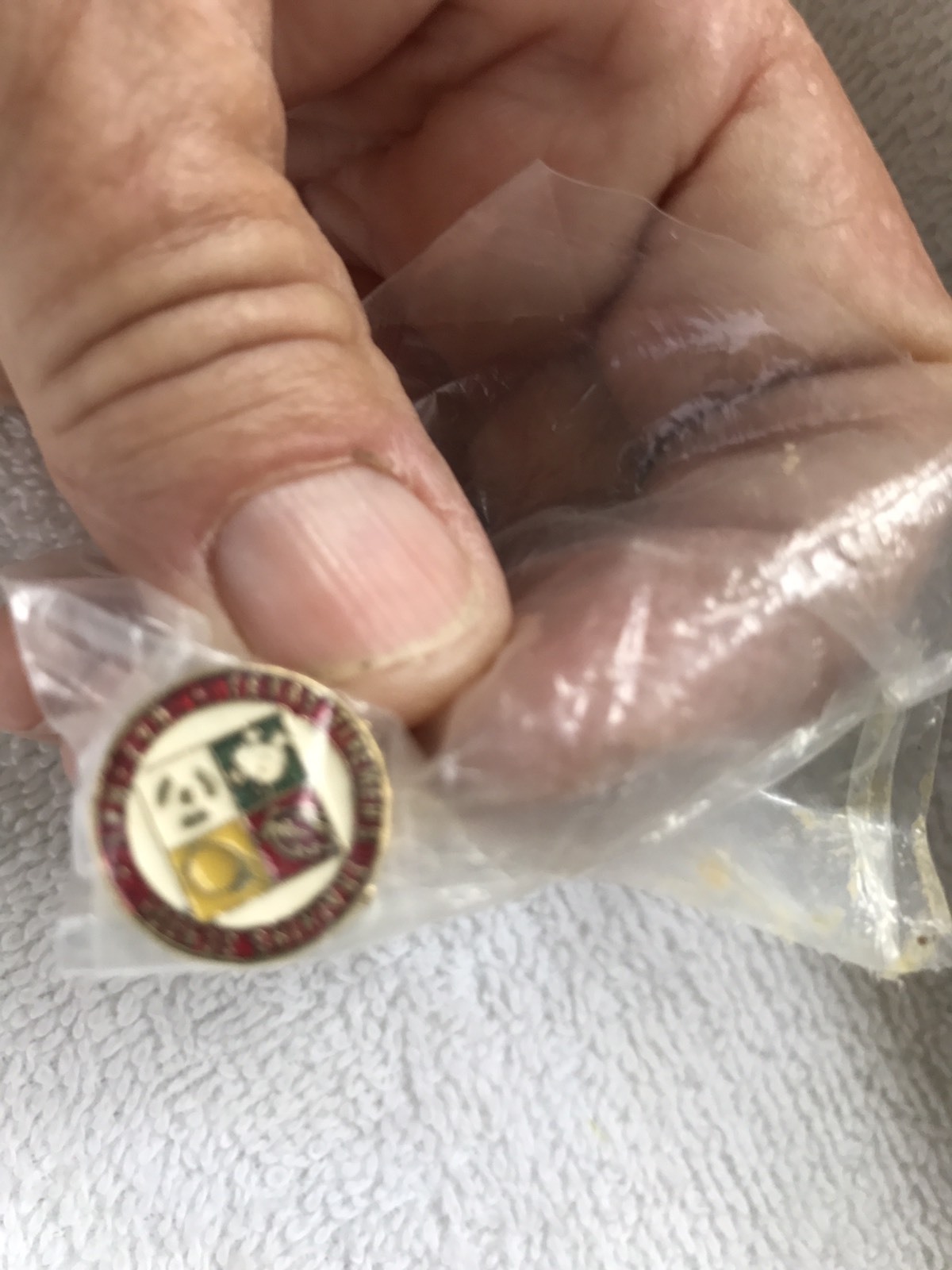 Fire Dept-Texas Firemans Training School Haz Mat-horns Pin Backs