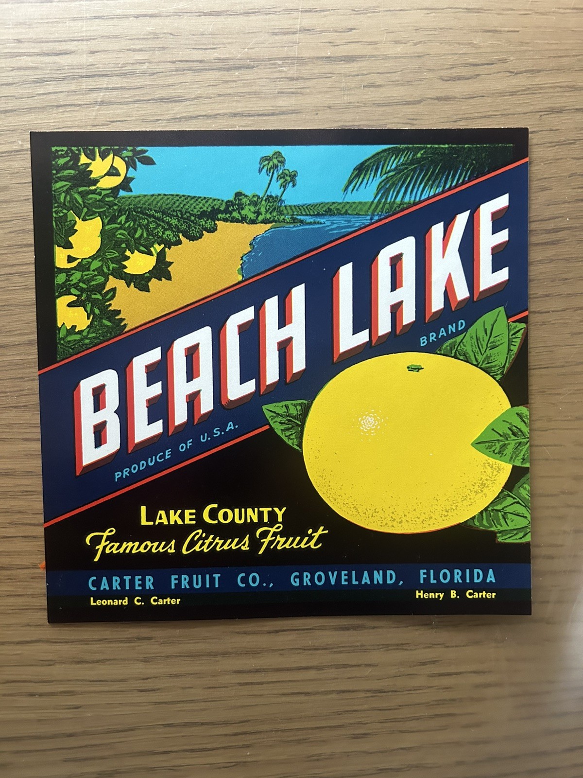 Vintage 6.5” x 6.5” Beach Lake Brand-Citrus Crate Label – Original