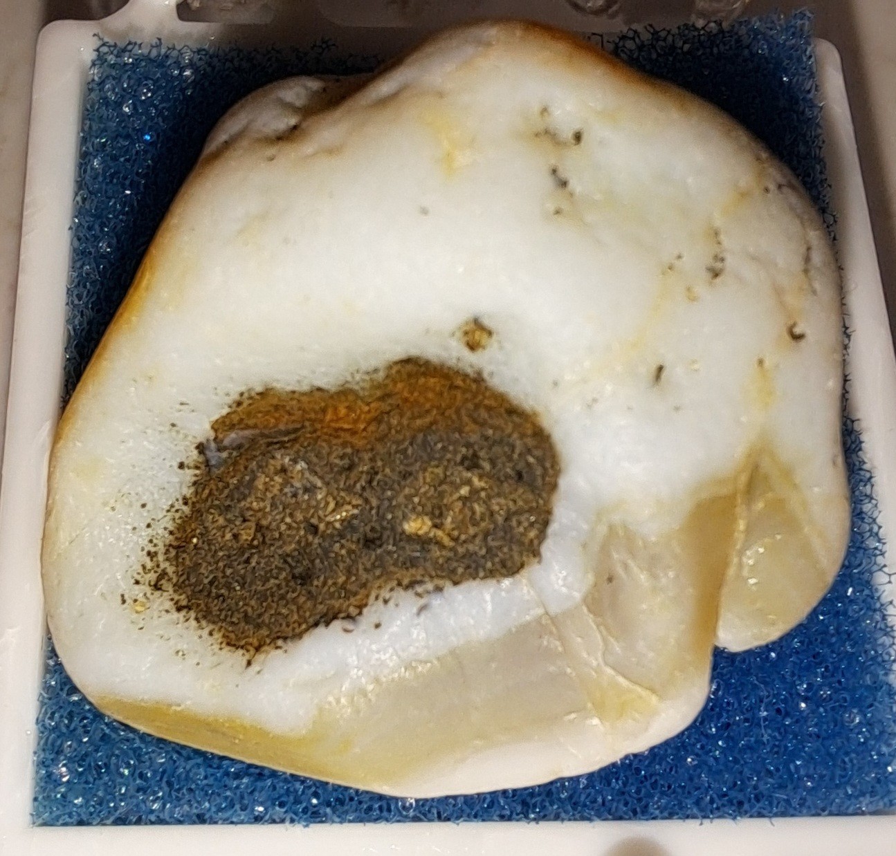 OREGON AGATE COLLECTION – 19 SPECIMENS IN PLEXI CASES – SUPERB COLORS & PATTERNS