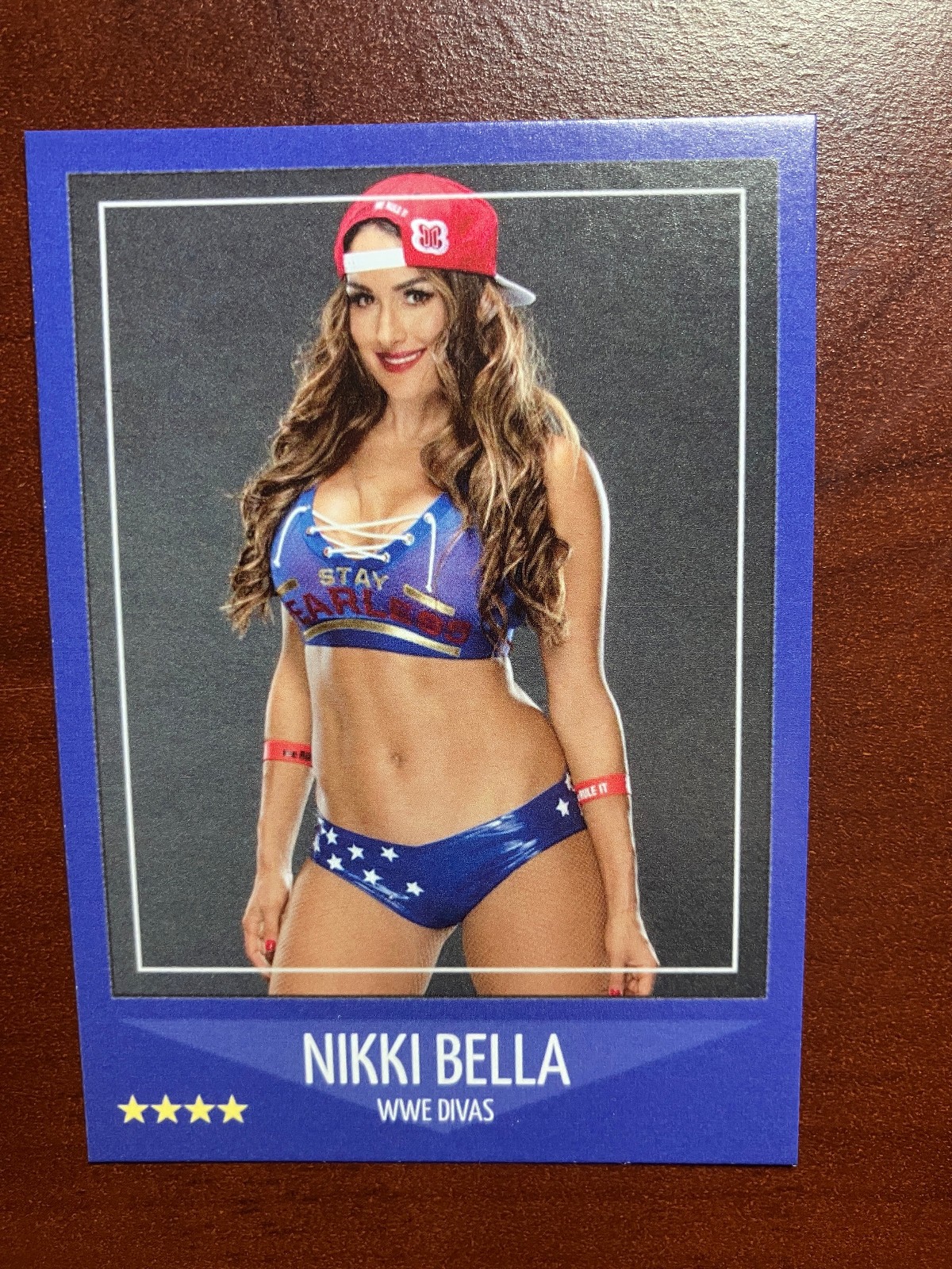 Custom ACEO Nikki Bella WWE Divas Wrestling Sports Card (NB-1)