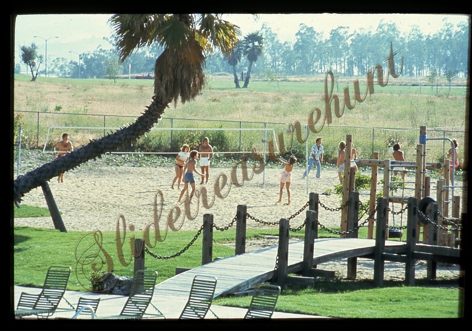 Sand Volleyball Beach People Sports Park 1980s 35mm Slide Palm Tree