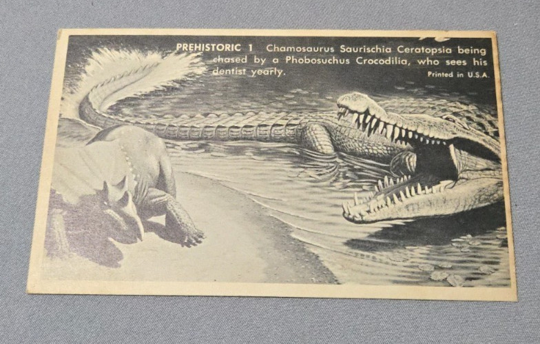 Rare Prehistoric Hobby Trading Post advertising cards Dinosaurs (pick & choose)