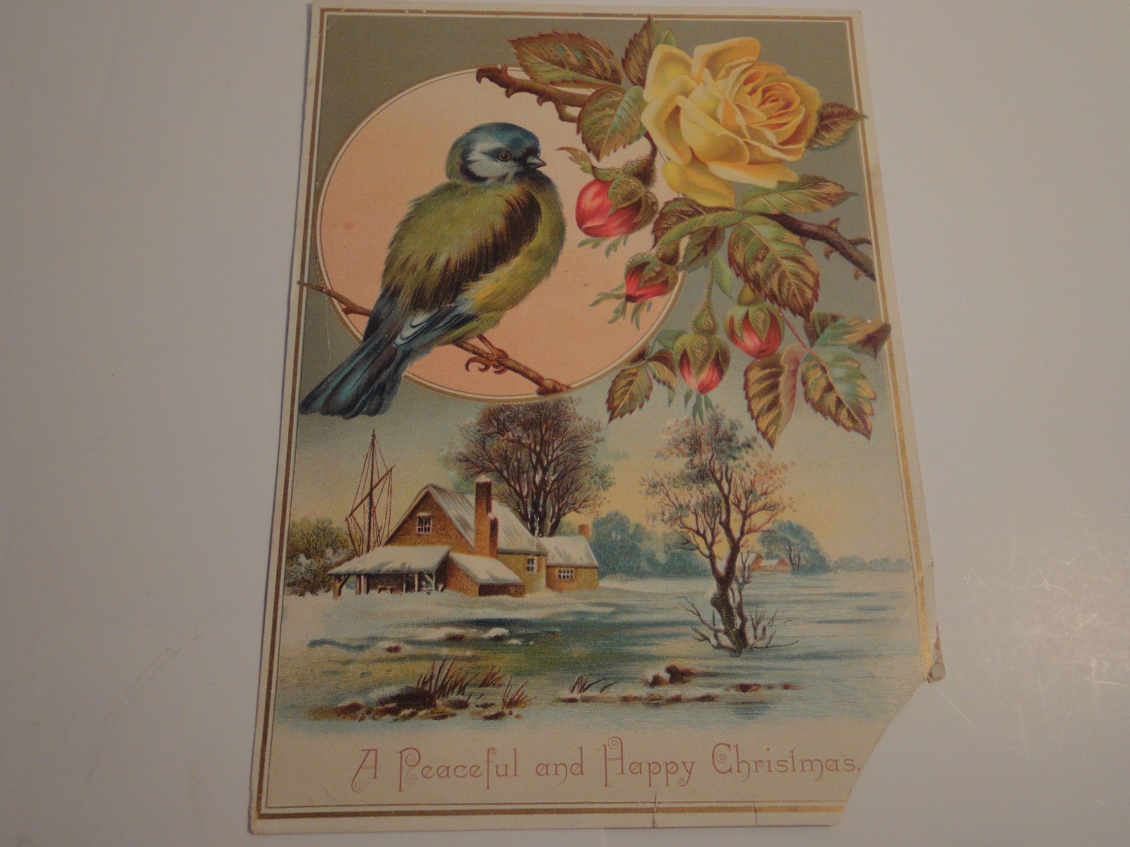 1881 Christmas Card Co. Young Girl with Flowers / Kitten’s Birthday Card 1884